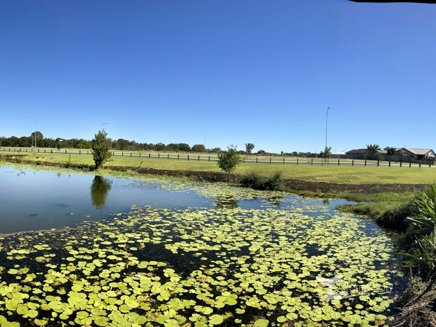 [Land for Sale] The Promontory Hervey Bay Estate, Point Vernon OpenLot